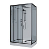 Картинка анонса товара «душевая кабина niagara premium ng-6912-01ql black (1200х800х2100) низкий поддон (16 см) стекло тонированное 69120134qlblack»