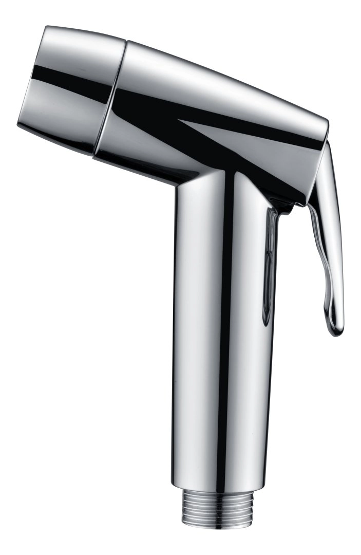 Гигиеническая лейка Kaiser LH-039 хром Гигиеническая лейка Kaiser LH-039 хром