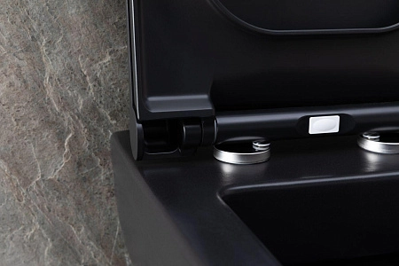 Унитаз подвесной Allen Brau Infinity 4.21011.31 с крышкой, черный матовый