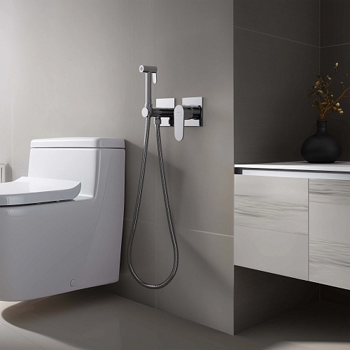 Гигиенический душ Aquatek ОБЕРОН AQ1220CR Хром, встраиваемый Гигиенический душ Aquatek ОБЕРОН AQ1220CR Хром, встраиваемый