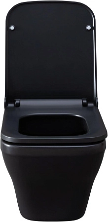 Унитаз подвесной Allen Brau Infinity 4.21011.31 с крышкой, черный матовый