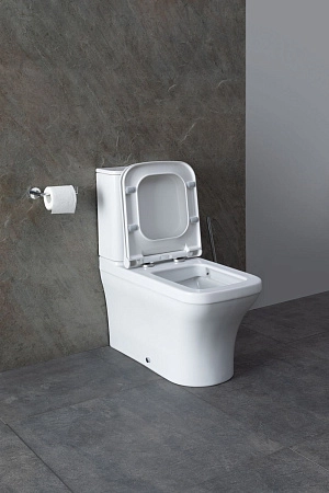 Чаша напольного унитаза Allen Brau Infinity 4.21012.20 с крышкой, белый глянец