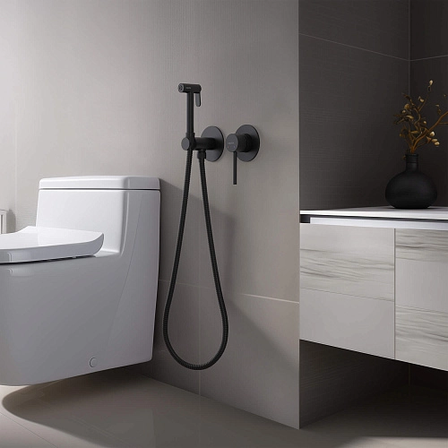 Гигиенический душ Aquatek ЕВРОПА AQ1319MB Черный матовый, встраиваемый Гигиенический душ Aquatek ЕВРОПА AQ1319MB Черный матовый, встраиваемый