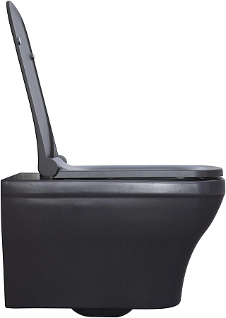 Унитаз подвесной Allen Brau Infinity 4.21011.AN с крышкой, антрацит