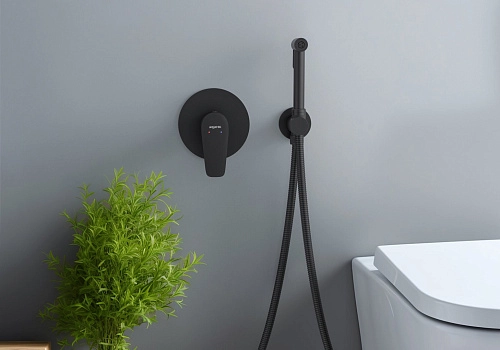 Гигиенический душ Aquatek БЕТТА AQ1119MB Черный матовый, встраиваемый Гигиенический душ Aquatek БЕТТА AQ1119MB Черный матовый, встраиваемый