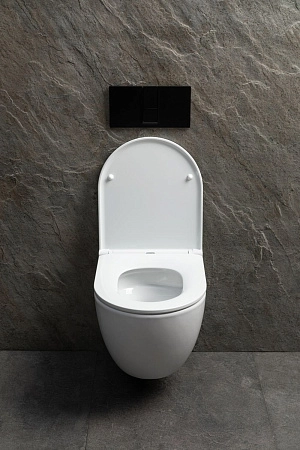 Унитаз подвесной Allen Brau Priority Tornado 4.31009.20 без сиденья белый глянец