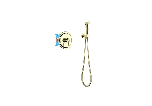 Гигиенический душ Aquatek КЛАССИК AQ1519PG золото полированное, встраиваемый Гигиенический душ Aquatek КЛАССИК AQ1519PG золото полированное, встраиваемый