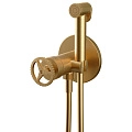 Гигиенический душ Remer Chrono CH65WBG, золото брашированное Гигиенический душ Remer Chrono CH65WBG, золото брашированное