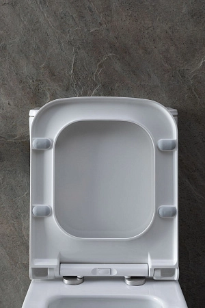 Чаша напольного унитаза Allen Brau Infinity 4.21012.20 с крышкой, белый глянец