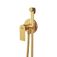 Гигиенический душ Remer Infinity I65WBG, золото брашированное Гигиенический душ Remer Infinity I65WBG, золото брашированное