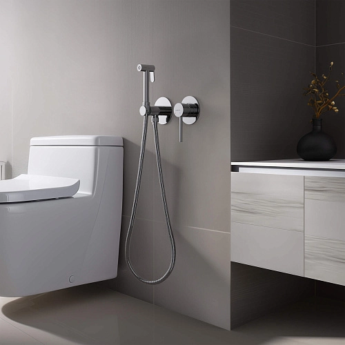 Гигиенический душ Aquatek ЕВРОПА AQ1319CR Хром, встраиваемый Гигиенический душ Aquatek ЕВРОПА AQ1319CR Хром, встраиваемый