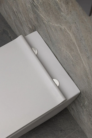 Унитаз подвесной Allen Brau Liberty 4.33007.AN с крышкой, антрацит