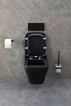 Унитаз подвесной Allen Brau Infinity 4.21011.31 с крышкой, черный матовый