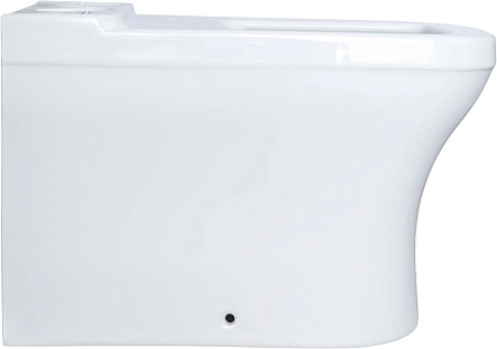Чаша напольного унитаза Allen Brau Infinity 4.21012.20 с крышкой, белый глянец