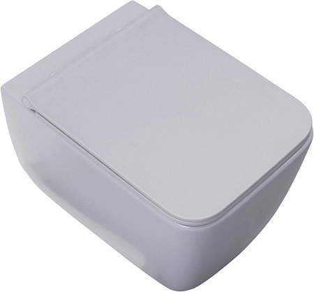 Унитаз подвесной Allen Brau Liberty 4.33007.AN с крышкой, антрацит