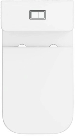 Чаша напольного унитаза Allen Brau Liberty 4.33013.20 с крышкой, белый