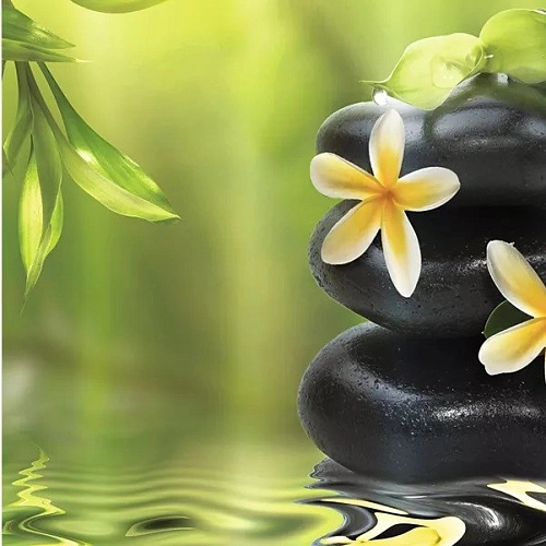 Штора для ванны Iddis Spa Therapy 680P18Ri11 Штора для ванны Iddis Spa Therapy 680P18Ri11