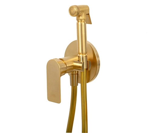 Гигиенический душ Remer Infinity I65BG, золото брашированное Гигиенический душ Remer Infinity I65BG, золото брашированное