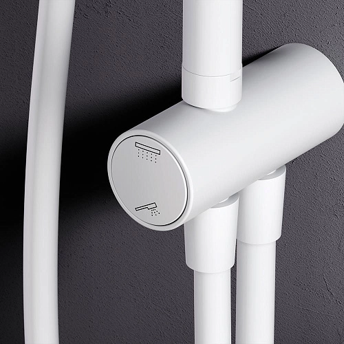 Душевая система AM.PM Gem F0790033 верхний душ d220 мм, штанга 1030-1460 мм Душевая система AM.PM Gem F0790033 верхний душ d220 мм, штанга 1030-1460 мм