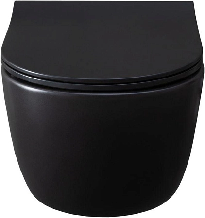 Унитаз подвесной Allen Brau Priority 4.31001.31 с крышкой, черный матовый