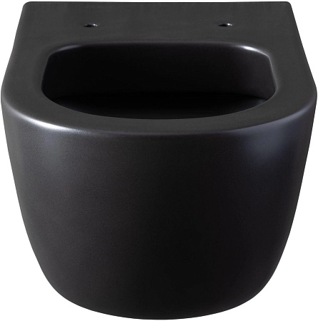 Унитаз подвесной Allen Brau Priority 4.31001.31 с крышкой, черный матовый