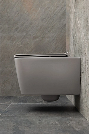 Унитаз подвесной Allen Brau Liberty 4.33007.AN с крышкой, антрацит