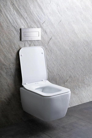 Унитаз подвесной Allen Brau Liberty 4.33007.20 с крышкой, белый