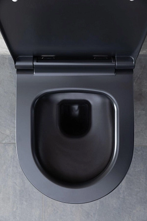 Унитаз подвесной Allen Brau Priority 4.31001.31 с крышкой, черный матовый