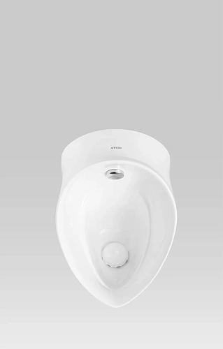 Писсуар ARROW AN660 подвесной Писсуар ARROW AN660 подвесной