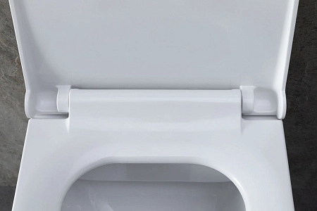 Унитаз подвесной Allen Brau Infinity 4.21011.20 с крышкой, белый глянец