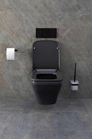 Унитаз подвесной Allen Brau Infinity 4.21011.AN с крышкой, антрацит