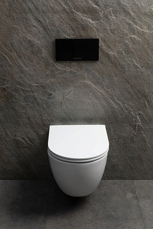 Унитаз подвесной Allen Brau Priority Tornado 4.31008.20 с крышкой, белый глянец