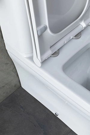 Чаша напольного унитаза Allen Brau Infinity 4.21012.20 с крышкой, белый глянец