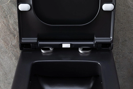 Унитаз подвесной Allen Brau Infinity 4.21011.31 с крышкой, черный матовый