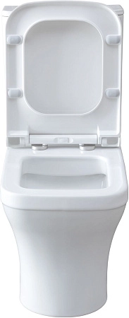Чаша напольного унитаза Allen Brau Infinity 4.21012.20 с крышкой, белый глянец