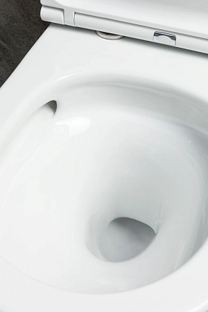 Унитаз подвесной Allen Brau Priority Tornado 4.31008.20 с крышкой, белый глянец