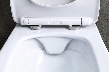 Унитаз подвесной Allen Brau Liberty 4.33007.20 с крышкой, белый