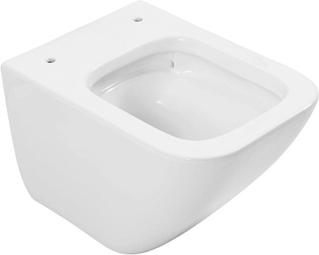 Унитаз подвесной Allen Brau Liberty 4.33012.20 с крышкой, белый