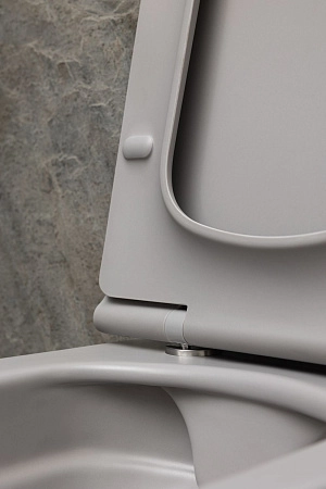 Унитаз подвесной Allen Brau Liberty 4.33007.AN с крышкой, антрацит