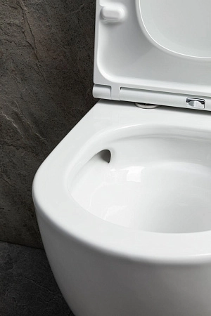 Унитаз подвесной Allen Brau Priority Tornado 4.31009.20 без сиденья белый глянец