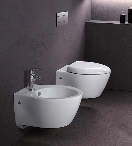 Унитаз подвесной Jacob Delafon Presqu'ile E4440-00 с сиденьем микролифт Унитаз подвесной Jacob Delafon Presqu'ile E4440-00 с сиденьем микролифт