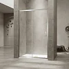Душевая дверь RGW PA-114 1000 мм 030811410-11