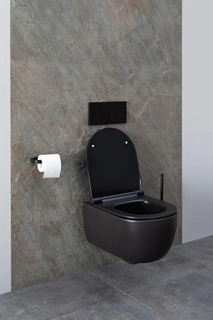 Унитаз подвесной Allen Brau Priority 4.31001.31 с крышкой, черный матовый