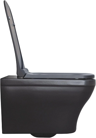 Унитаз подвесной Allen Brau Infinity 4.21011.31 с крышкой, черный матовый