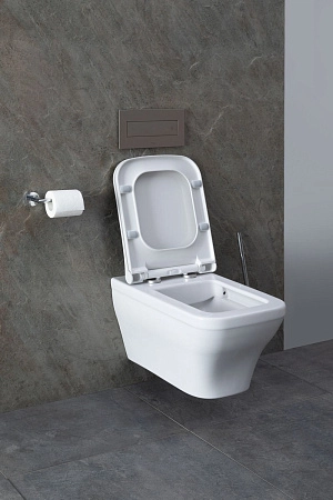 Унитаз подвесной Allen Brau Infinity 4.21011.20 с крышкой, белый глянец