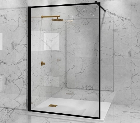 Душевая перегородка Paini PAINI-WalkIN110F 110x195 рисунок рамка