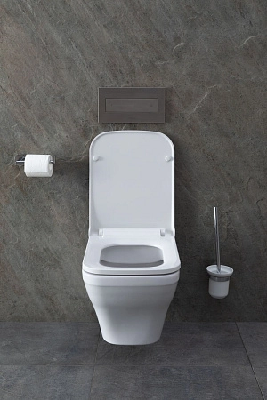 Унитаз подвесной Allen Brau Infinity 4.21011.20 с крышкой, белый глянец