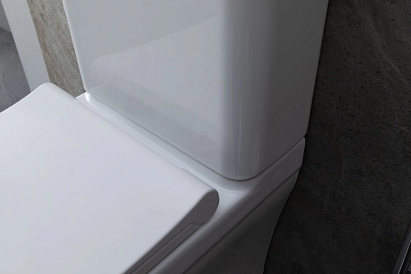 Чаша напольного унитаза Allen Brau Infinity 4.21012.20 с крышкой, белый глянец