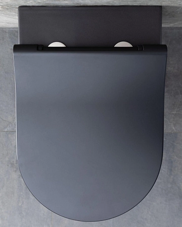 Унитаз подвесной Allen Brau Priority 4.31001.31 с крышкой, черный матовый