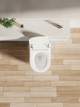 Унитаз подвесной Allen Brau Smart 4.I1001.20 с крышкой, белый, с функцией биде